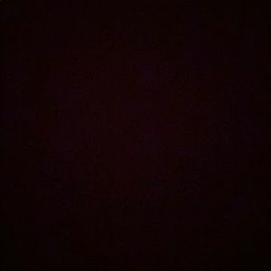 Meet your Posher, Riley